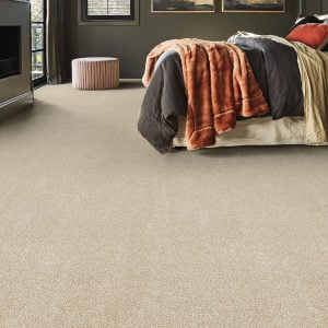 floor carpet bangalore