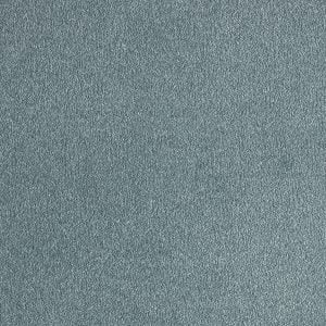 carpet world kozhikode kerala