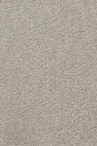 carpet shoppy nagpur