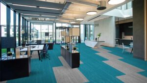 Carpet Patterns and Textures