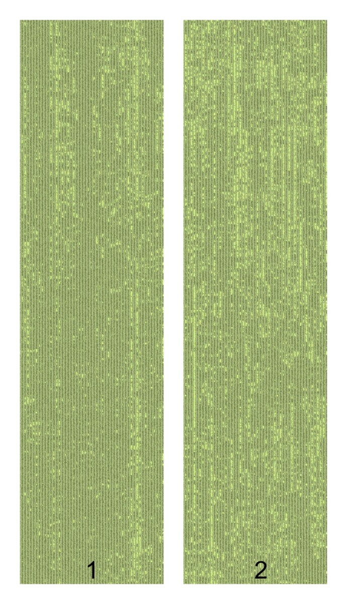 ST 011