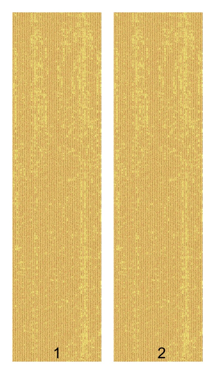 ST 020
