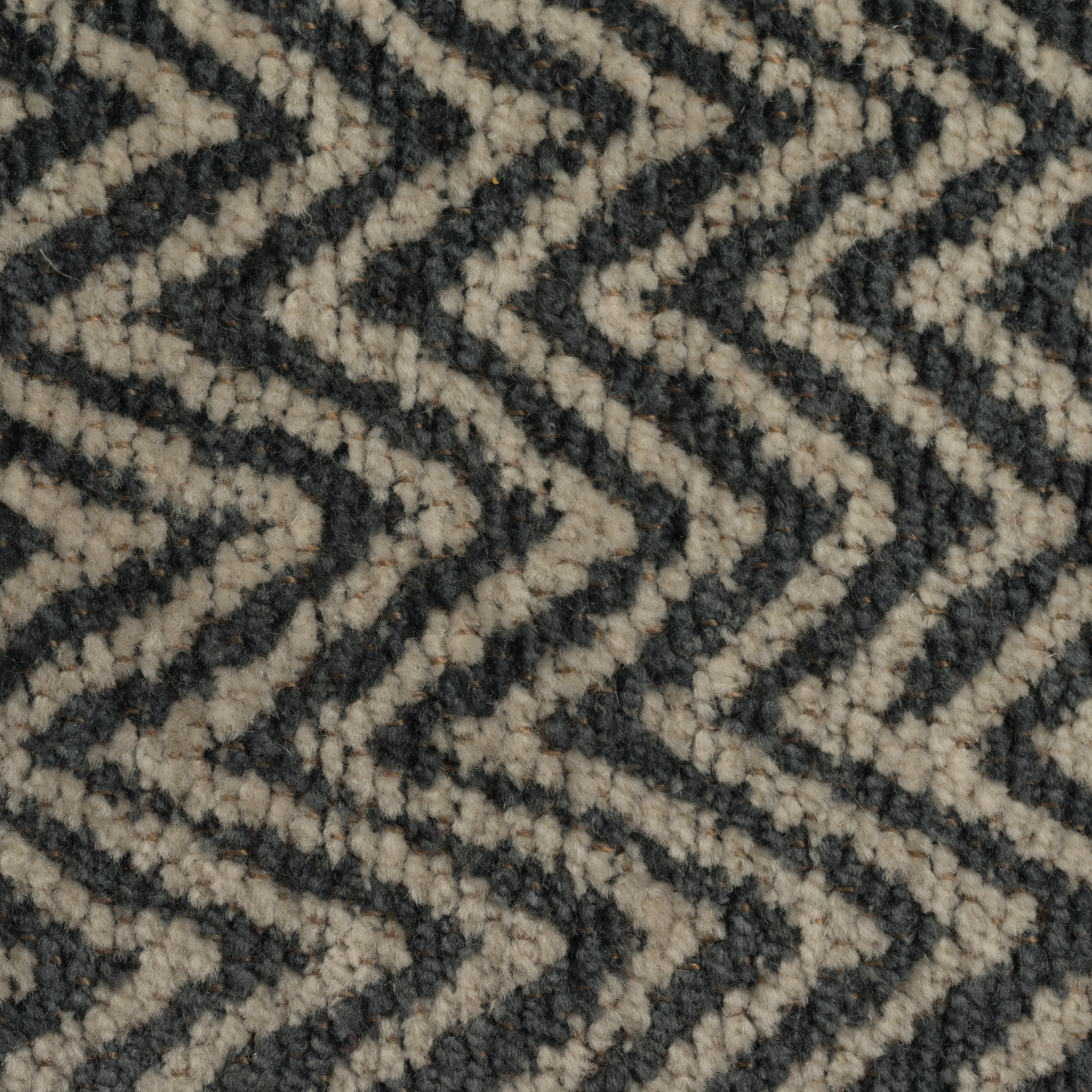 Patterned Carpet Flooring